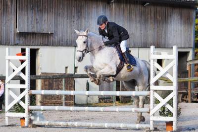 Cheval de sport 16 ans maitre d'école