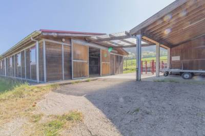 Ferme équestre : maison de 237 m² habitables, terrain d