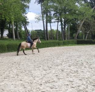 Pfs - 4 ans - 1m40