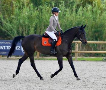 Jument de csi 2* à louer