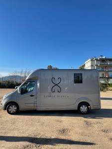 Camion stx 2019