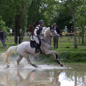 Poulinière cce à vendre