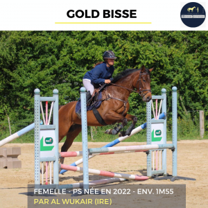 Gold bisse - ps - 3 ans