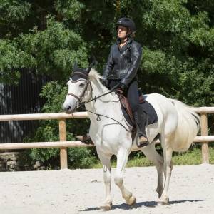 Poney connemara polyvalent à vendre!