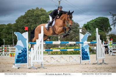 Magnifique jument 9 ans 