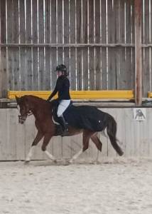Ponette d sport