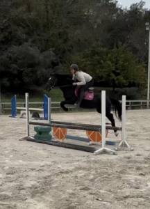Welsh 6 ans