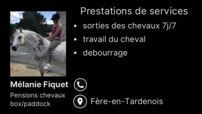 Pension chevaux