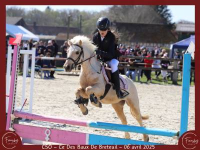 Poney hongre 4 ans b
