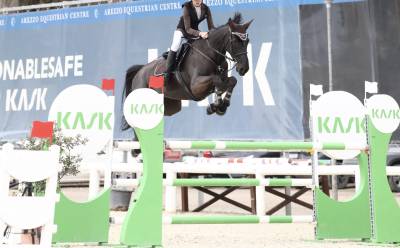 Cavalla 8 anni in vendita 
