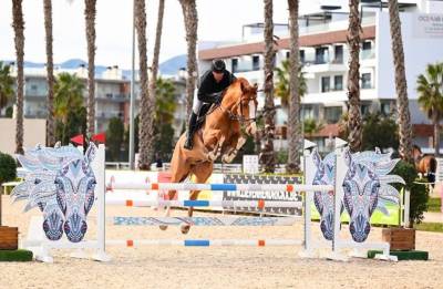 Hongre 7 ans par diamant de semilly pour 125/130