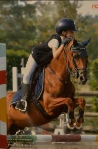 Pony da concorso 