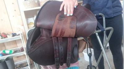 Selle forestier