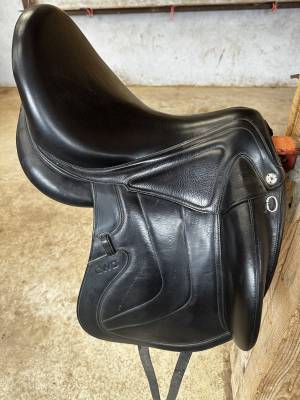 Selle cwd dressage se37