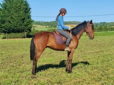 Lussac tf de 4 ans