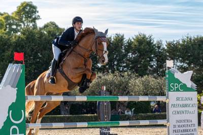Kwpn , castrone 7 anni da emerald van ’t ruytershof.