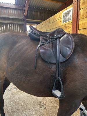 Selle okles 17,5'