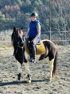 a vendre poney onc male noir pie 2015