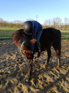 Demi-pension sur cheval