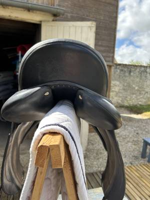 Selle de dressage antares