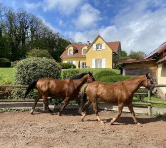 Luxurious equestrian property haute-saône