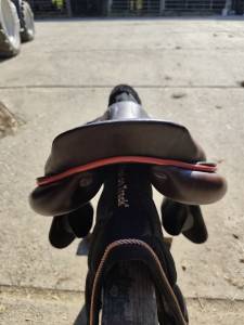 Selle gbs 