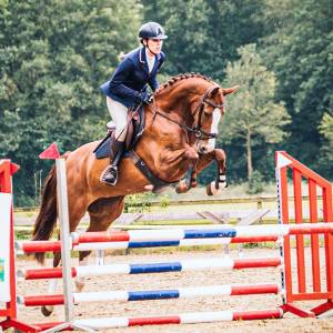 Speciale vosmerrie springpaard