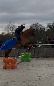 Urgent, hongre ps 7ans 1m74