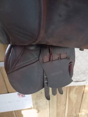 Selle gbs
