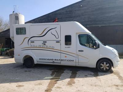 Van per Cavalli Barbot Renault 2015 Occasione