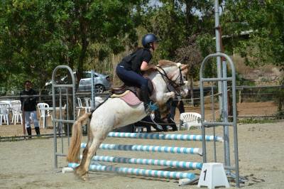 Poney CSO