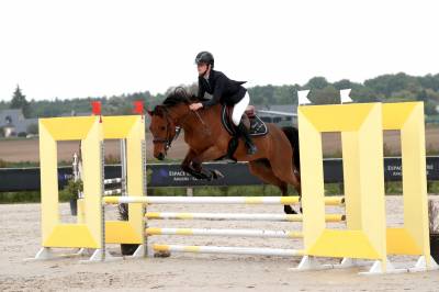 Poney de sport - 5 ans