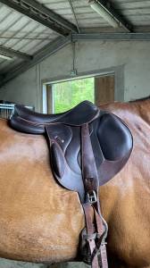 Selle chiberta o