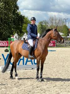 Cheval bwp à vendre 