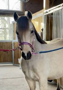 Ponette oc 5 ans
