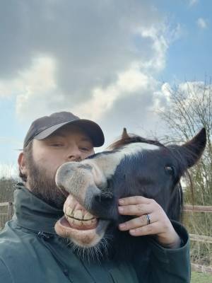 Palefrenier soigneur auto-entrepreneur