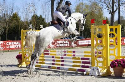 4 ans par fahrenheit de vains ( cornet obolensky) 