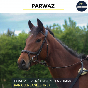 Parwaz - ps - 4 ans