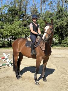Jument super pour amateur