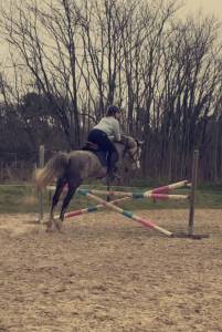 Poney sport