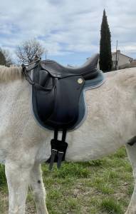 Selle jean-luc maurel 