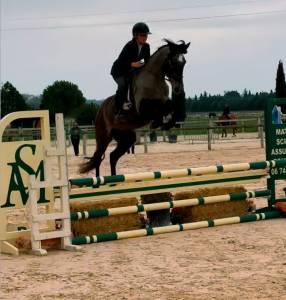 Cheval de 4ans à vendre