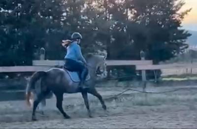 Cheval de 4ans à vendre 