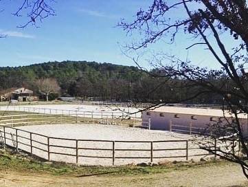 Propriété élevage canin/équin et pension chevaux/chiens
