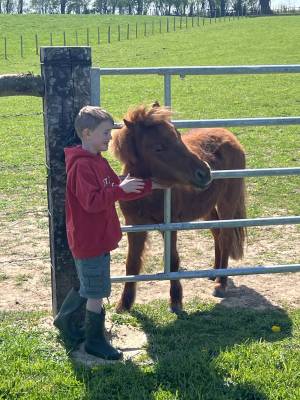 Propose shetland au pair