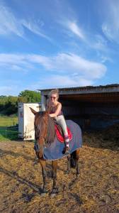 Jument ibérique de 17 ans à vendre