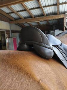 Selle dressage arçon interchangeable