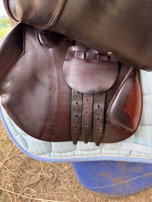 Selle delgrange 17