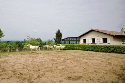 Propriété équestre vue sur les Monts du Lyonnais