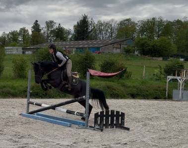 Ponette de sport taille d 5 ans – le talent polyvalent!